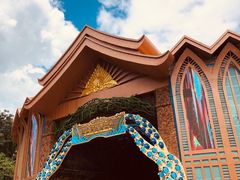 -西双版纳原始森林公园