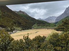 -稻城亚丁景区-冲古草甸