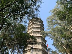 -深圳国际园林花卉博览园