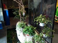 -山水雅居·江南雅宴(运河公园店)