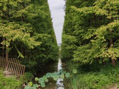 -东平国家森林公园