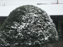 -天怡·鱼工厂(临江店)