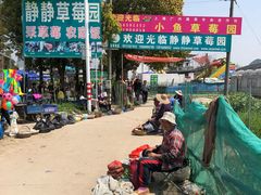 -小鱼草莓采摘园农家乐·小鱼餐厅