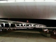 -演武大桥观景平台