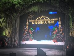 -广州长隆国际大马戏