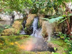 -Chom Cafe and Restaurant