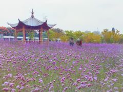 -杭州城北体育公园