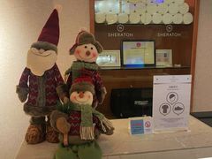 -喜来登大酒店健身中心