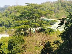 -深圳仙湖植物园