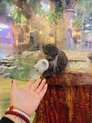 -Zoolung Zoolung动物主题公园(海信广场店)