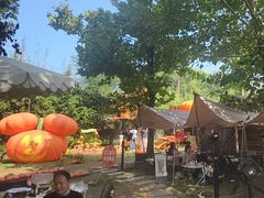 -HERRE·FARM 赫尔露营农场·团建聚会包场