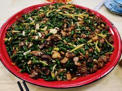 -东吴霸王兔(松青路店)