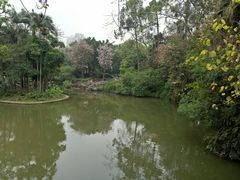-柳侯公园