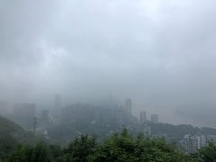 -南山植物园