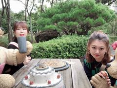 -济州岛泰迪熊博物馆