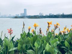-南宁南湖公园