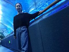 -厦门海底世界