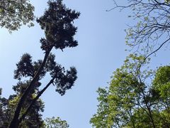 -青城山