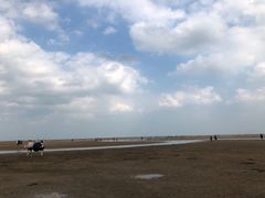 -刘家湾赶海园