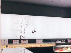 -BLACKSWAN黑天鹅(环球店)