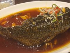 罾蹦鲤鱼-津菜宋记老房子(鼓楼店)