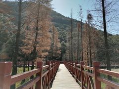 -广州市石门国家森林公园
