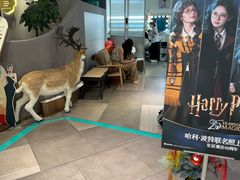 -海马体照相馆(深圳万象天地店)