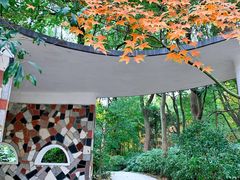 -上海共青森林公园