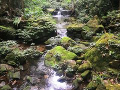 -海南热带雨林国家公园吊罗山景区