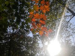 -丹东天桥沟景区