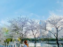 -西北湖绿化广场