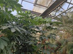 -金稼园·金平湖农家菜