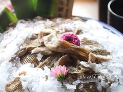 -九鼎轩脆毛肚火锅(三钢里店)