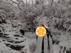 -九峰山