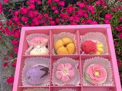 -稻香村(观前街店)