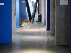 -太平老街-前行美术馆