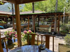 -源泉冷水鱼庄(小鱼洞店)