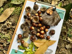 -国家植物园南园