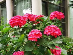 -浙江西子宾馆·瑶园咖啡厅