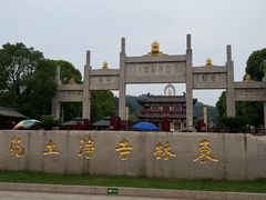 -庐山风景名胜区-东林大佛