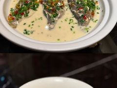 -科兴科学园