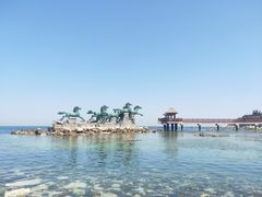 -养马岛旅游度假区
