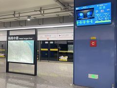 -杨高南路(地铁站)