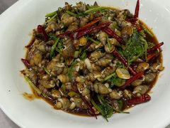 -小海丁