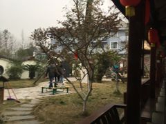 -胖大姐黄辣丁鱼庄(新津店)