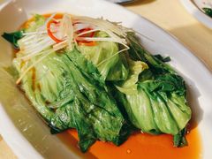 白灼罗马生菜-大酒缸(高碑店文化新大街店)