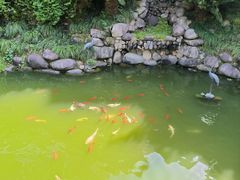 -南北湖湖光山居度假酒店