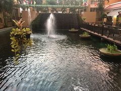 -月光岛