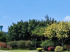 -白鹭洲公园