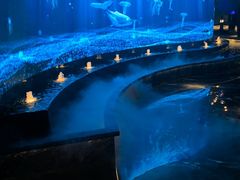 -唐宫足道·SPA·影院会馆(木渎店)